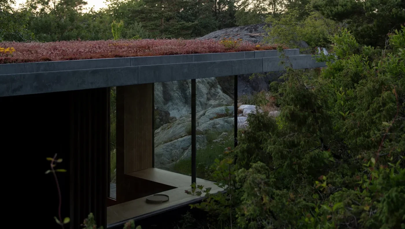 Forest Cabin