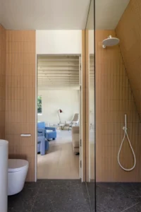 Architect Francesco Pierazzi