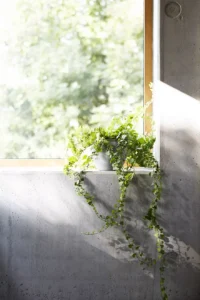 Danish architect and developer Tommy Rand built a house for himself and his family. 